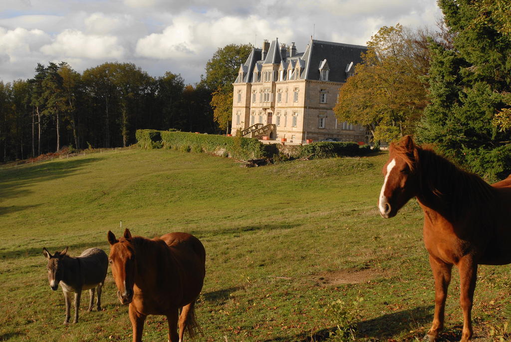 Château des Faugs Boffres Exterior foto